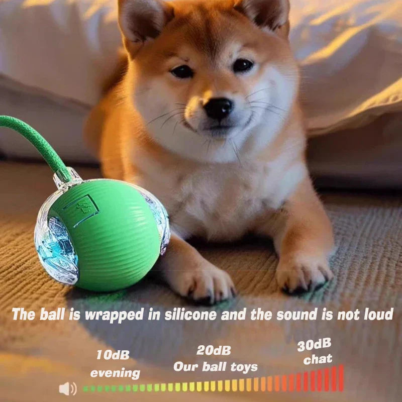 🔥HOT SALE 50% OFF😍The Pet Ball That Moves On Its Own — No Fetch Required