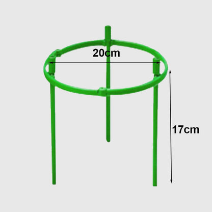 Removable plant stand support stakes for plants and flowers and fruits