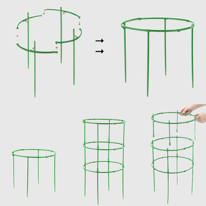 Removable plant stand support stakes for plants and flowers and fruits